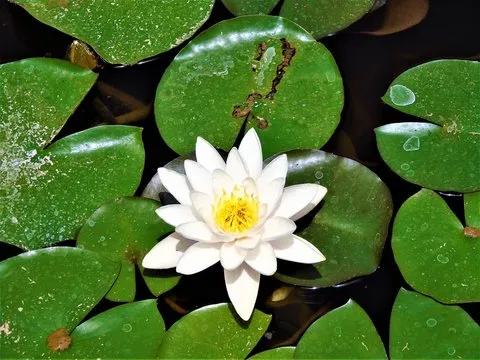 定位走势图界面